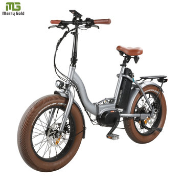 City Ebike Aluminum Folding Bike/ Electric Folding Bike for Adults 48V